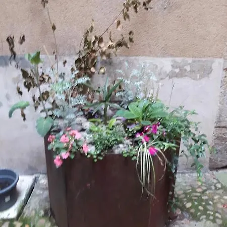 Apartamento Le Loft Du Chateau Du Roi *