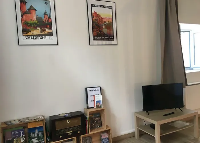 Διαμέρισμα Le Loft Du Chateau Du Roi *